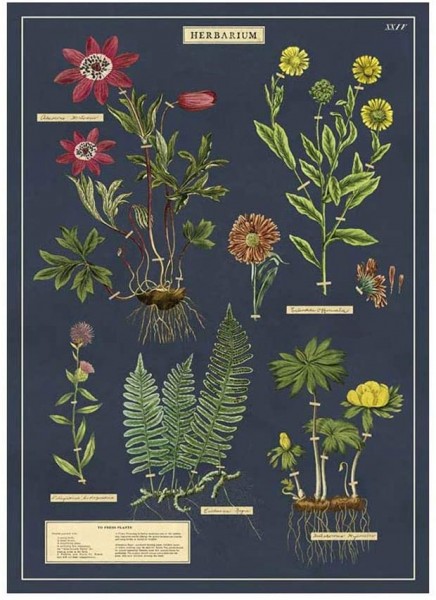 Cavallini Vintage Poster/ Papier Herbarium